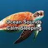 Ocean Sounds Fx, Pt. 2