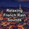 Rain Sounds in Paris, France, Pt. 1
