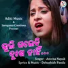 About Bhuli Galebi Dukha Nahin Female Version Song