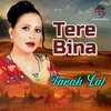 About Tere Bina Song