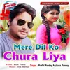 About Mere Dil Ko Chura Liya Song