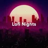 About In the Night Lofi Music Song