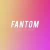 About Fantom Song