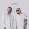 About Sorry Song