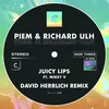 Juicy Lips David Herrlich Remix - Extended Mix