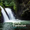 About Bukik Timbulun Song