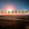 About 忘了你还会想起谁 Song