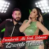 About Zirvede Tahtım Song