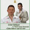 About Cate Fete-N Sat La Noi Si pe mine un berbecut Song