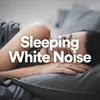 White Noise Life