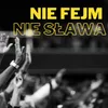 About Nie Fejm, Nie Sława Song