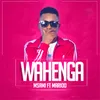 About Wahenga Song