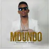 About Mdundo Song