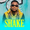 About Shake Song