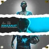 About Amaanat Song