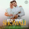 About Shomali 3 Song