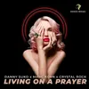 About Living on a Prayer Extended Club Mix Song