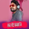 About Hai Re Namita Song