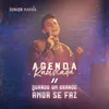 About Agenda Rabiscada / Quando um Grande Amor Se Faz Song