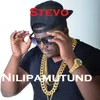 About Nilipamutunda Song