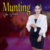 About Munting Koplo Version Song