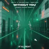 About Without You Robin Knaak Remix Song