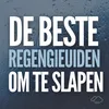 De Beste Regengeluiden Om Te Slapen, Pt. 1