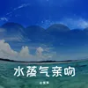 About 水蒸气亲吻 Instrumental Song
