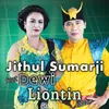 About Liontin Song