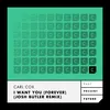 I Want You (Forever) Josh Butler Remix - Radio Edit