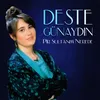 About Pir Sultanım Nerede Song