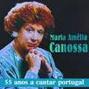 Canção ao Porto