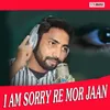 About I Am Sorry Re Mor Jaan Song