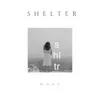 About Shelter Song