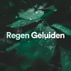 Regen Geluiden, Pt. 5