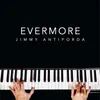 About Evermore Song