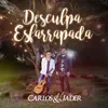 About Desculpa Esfarrapada Song