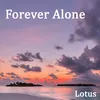 About Forever Alone Song