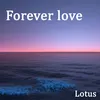 About Forever Love Song