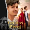 About Teri Meri Preet Song