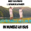 About In Numele Lui Isus Song