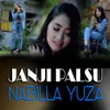 About Janji Palsu Song