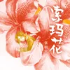 索玛花