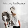 Fan Noise