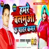 About Hamare Balamua Ke Patar Kamar Song