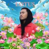 About Lotus Song