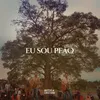 About Eu Sou Peão Song