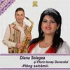 About Plang Salcamii Song