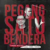 About Pegang Satu Bendera Song