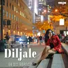 About Diljale (Ek Din Reprise) Song